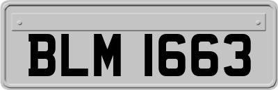 BLM1663
