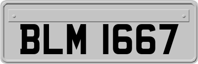 BLM1667