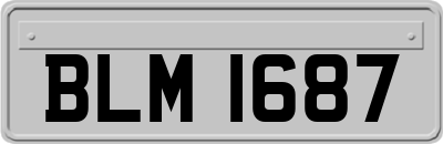 BLM1687