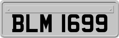 BLM1699