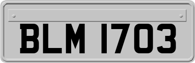 BLM1703