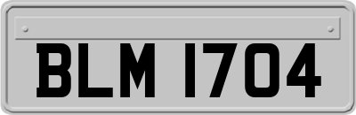 BLM1704