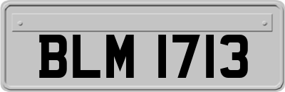 BLM1713