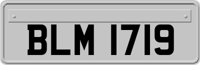 BLM1719