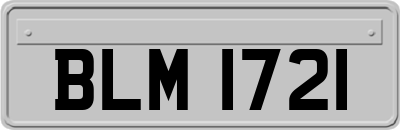 BLM1721