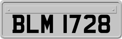 BLM1728