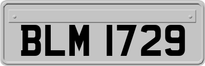 BLM1729