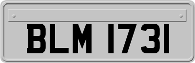 BLM1731