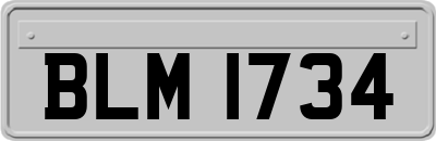 BLM1734