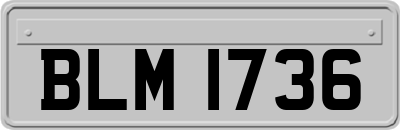 BLM1736