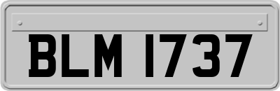 BLM1737