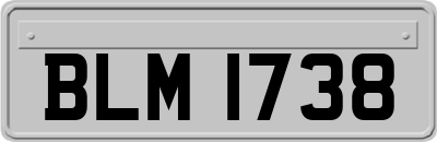 BLM1738