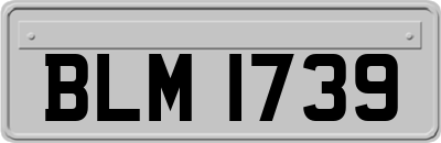 BLM1739