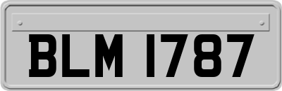 BLM1787