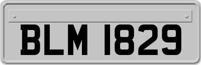BLM1829