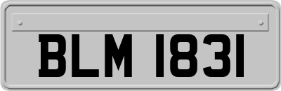 BLM1831