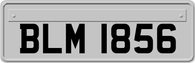 BLM1856