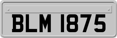 BLM1875