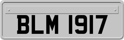 BLM1917
