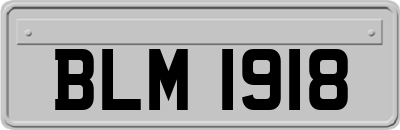 BLM1918
