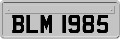 BLM1985