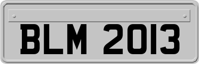BLM2013