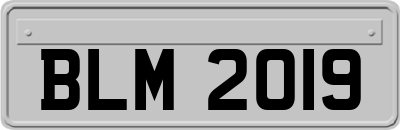 BLM2019
