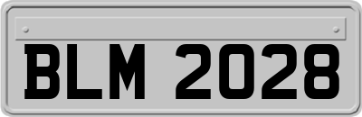BLM2028
