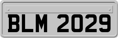 BLM2029