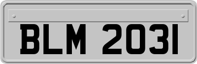 BLM2031