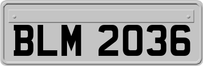 BLM2036