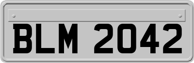 BLM2042