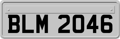 BLM2046