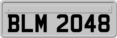 BLM2048