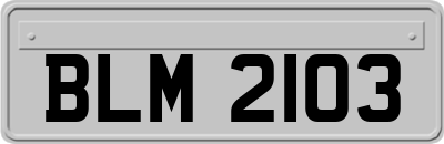 BLM2103
