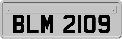 BLM2109