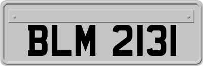 BLM2131