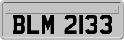 BLM2133