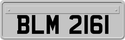 BLM2161