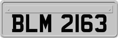 BLM2163