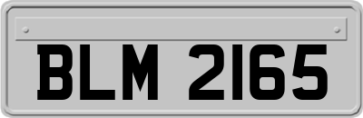 BLM2165