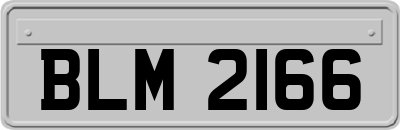 BLM2166