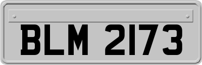 BLM2173