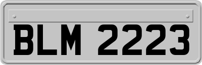 BLM2223