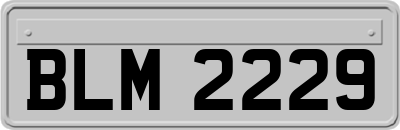 BLM2229