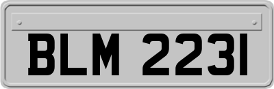 BLM2231