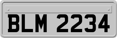 BLM2234