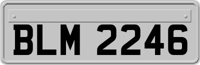 BLM2246