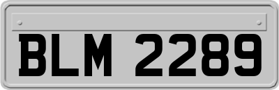 BLM2289