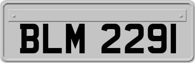 BLM2291